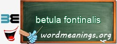 WordMeaning blackboard for betula fontinalis